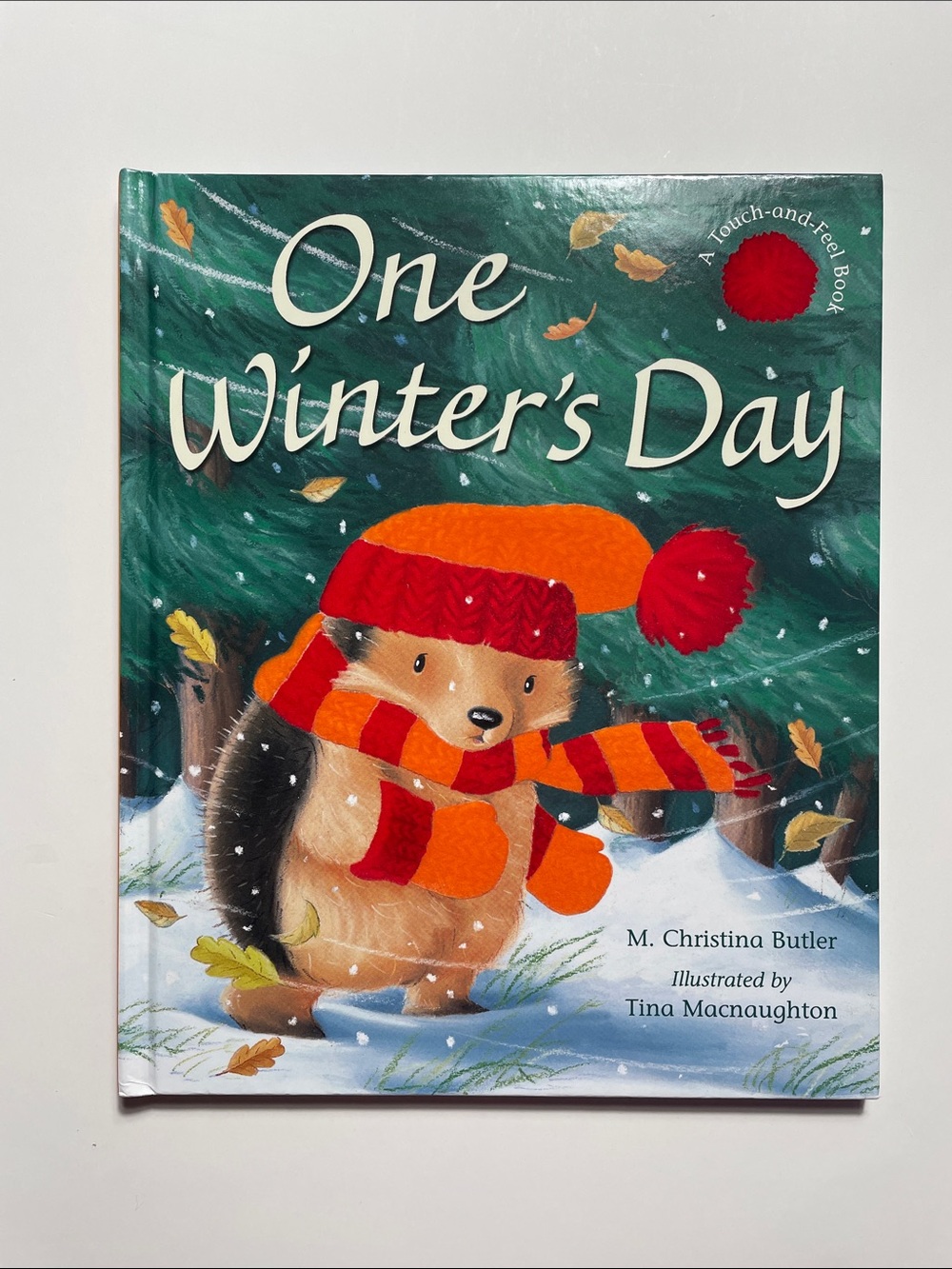 One Winter's Day by M. Christina Butler | Hardcover Kids Books